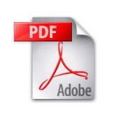 PDF